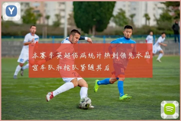 本赛季英超伤病统计热刺领先水晶宫车队和枪队紧随其后