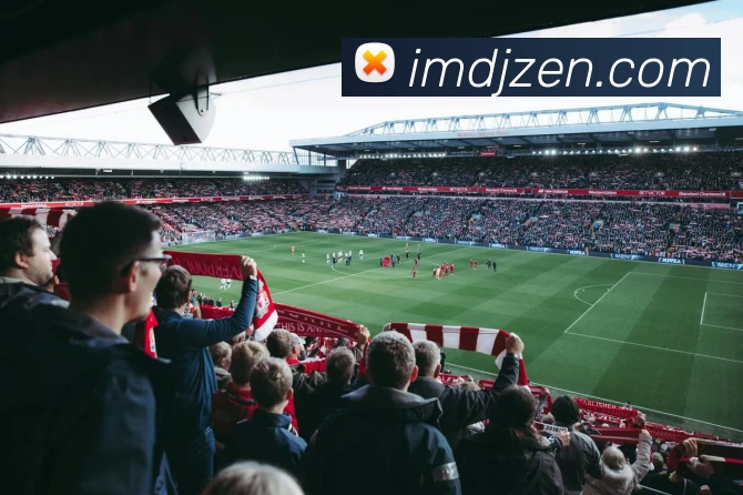 IM电竞平台生态图